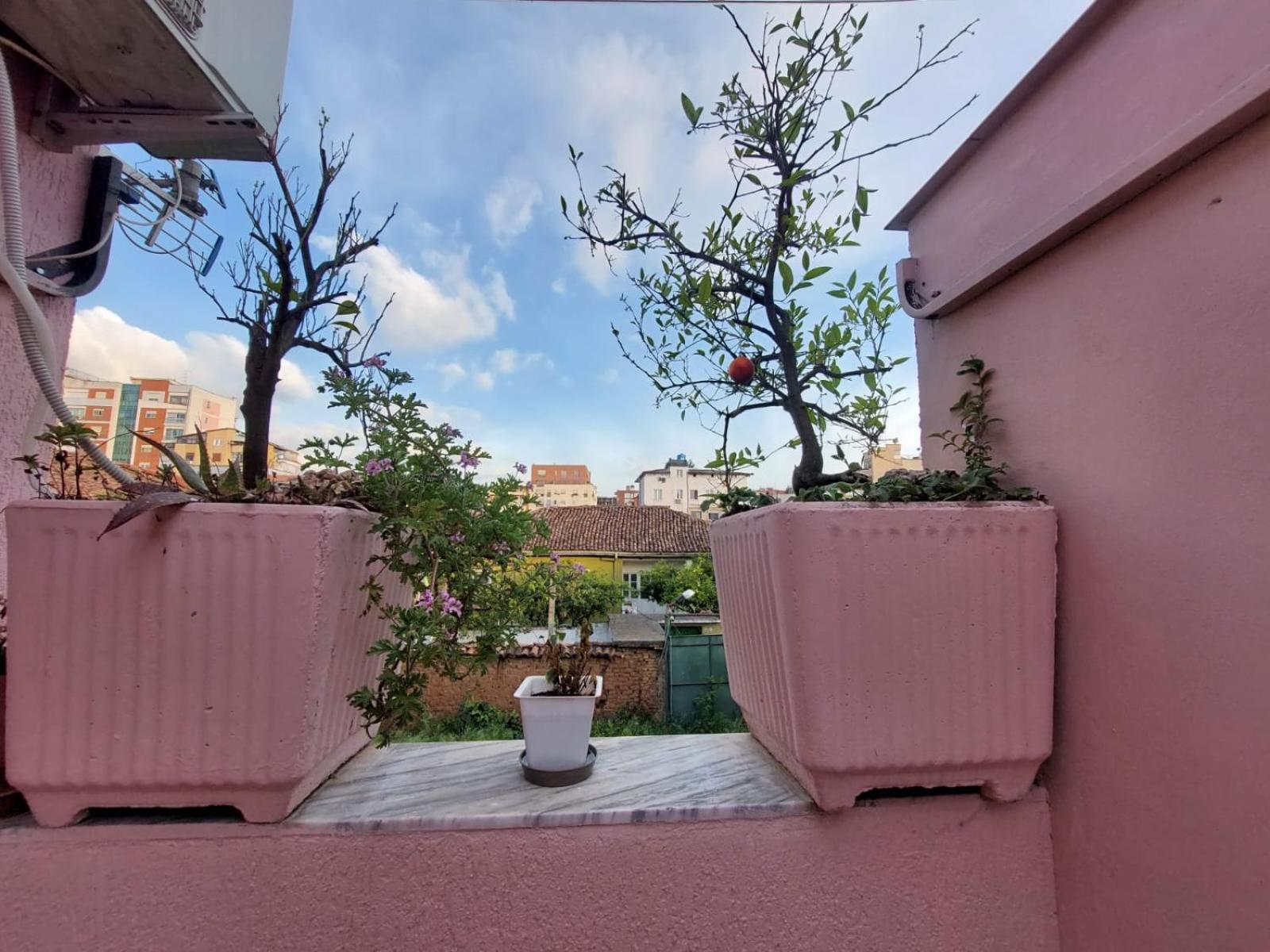 Gex Guest House Tiran Dış mekan fotoğraf